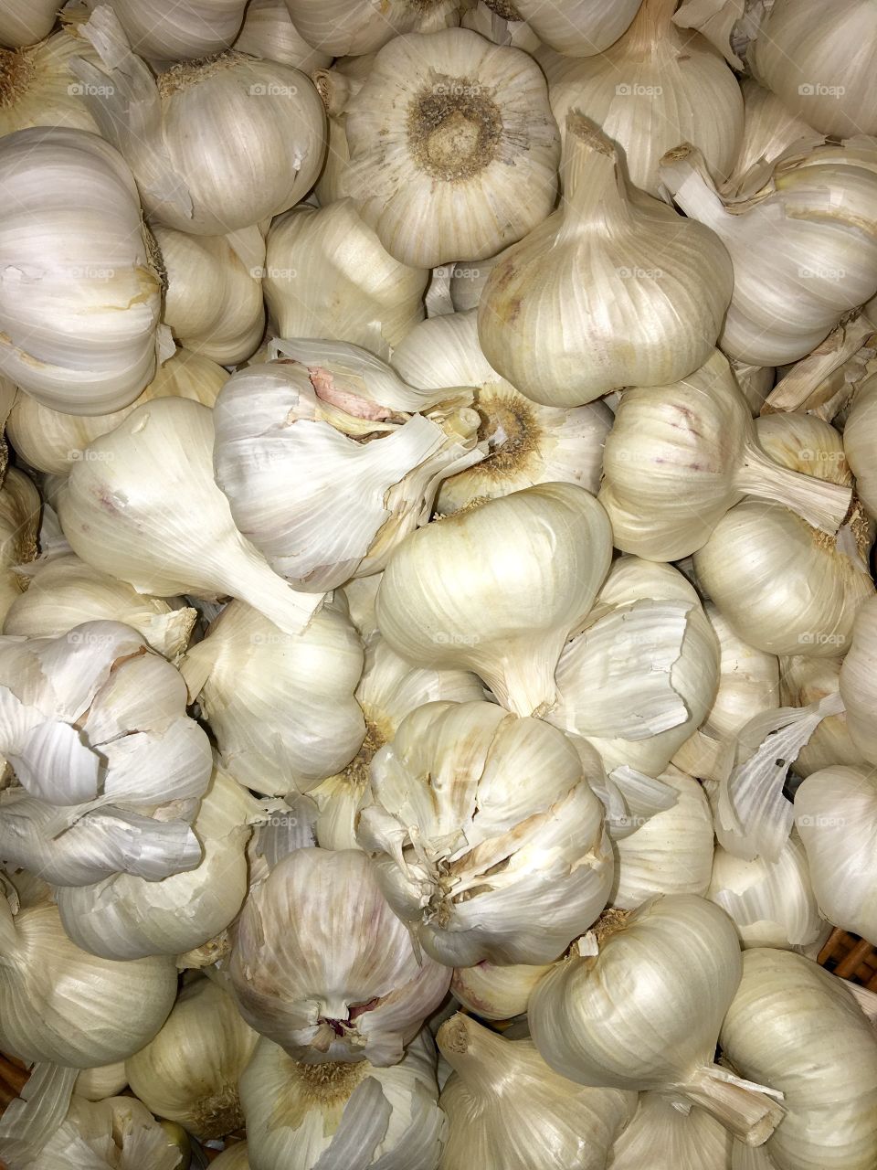 Garlic bulbs loose in bin at market.