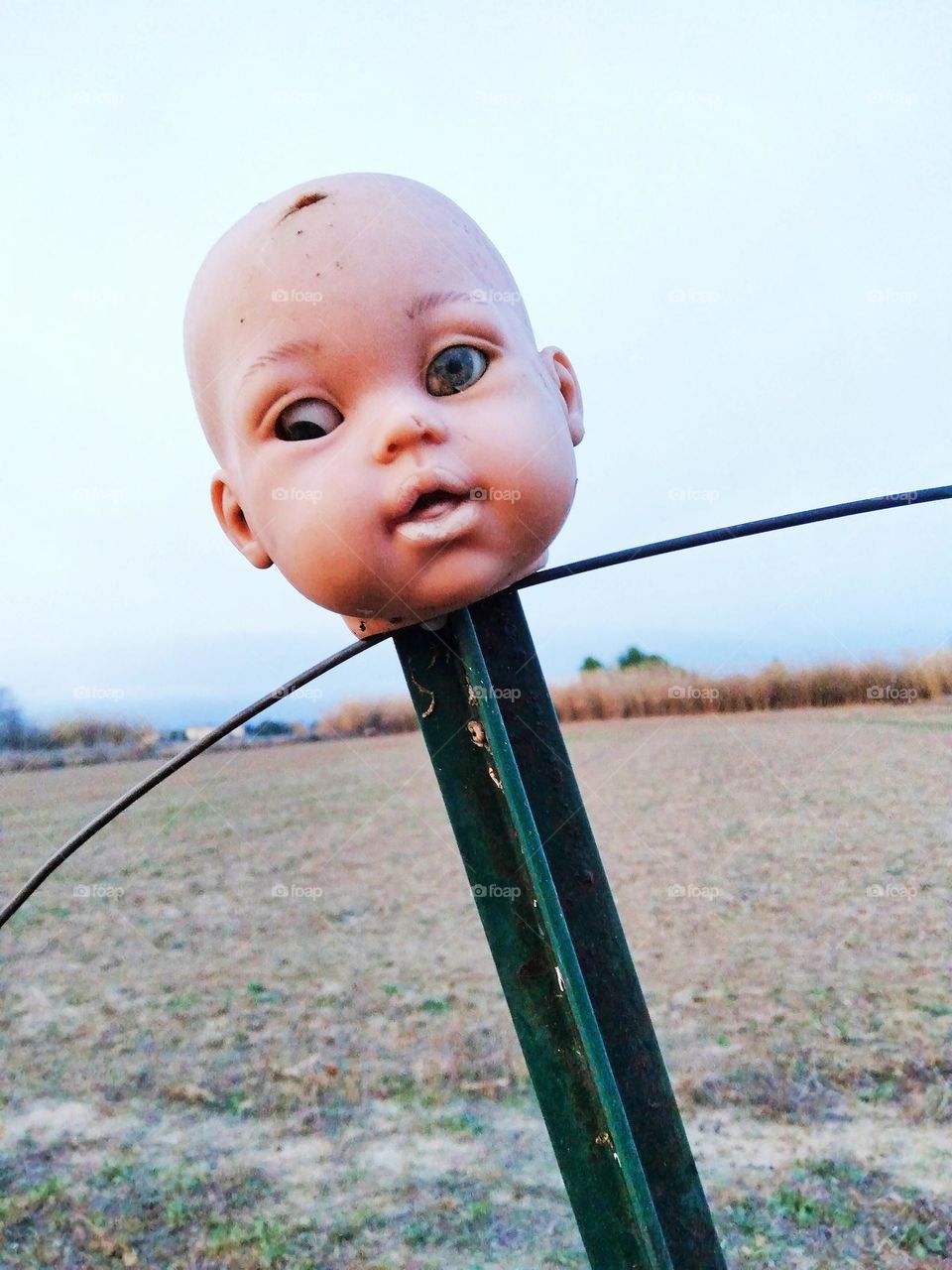 Doll empalled in the countryside