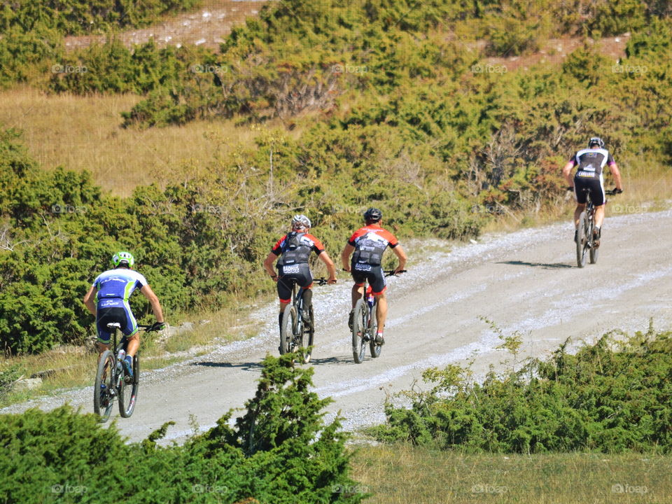 Cyclist, Wheel, Road, Biker, Adventure