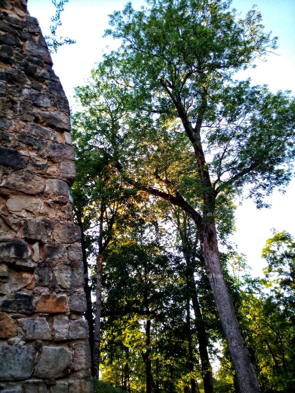 Rays of sun. Momentum.