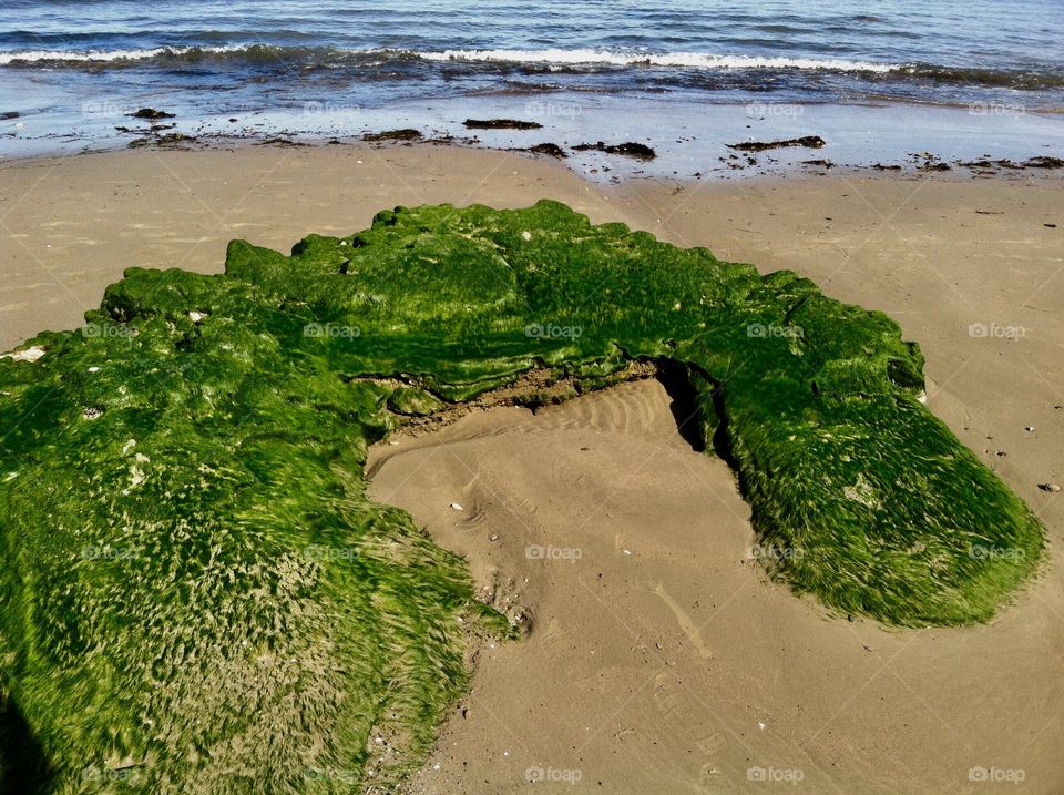 Enormous moss covered horseshoe shaped rock on the sunny shore of Santa Barbara California 
