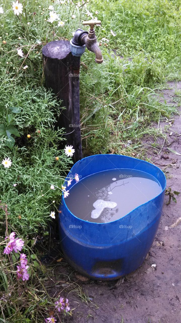 Water for Washing.. A barrel of dirty rainwater collected for washing in a South African yard.
