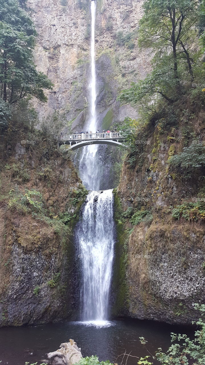 Multnomah