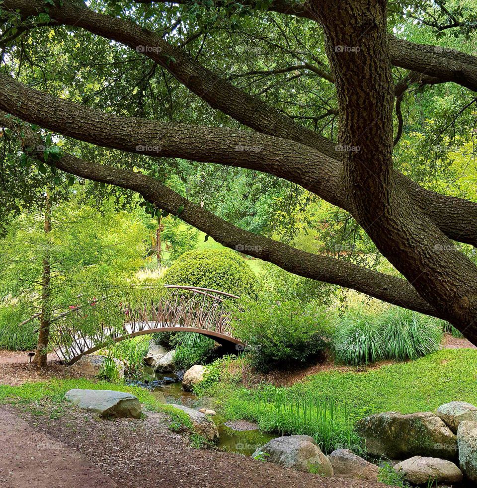 Scenic view of duke gardens in durham north carolina