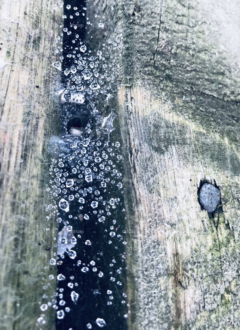 Water droplets on a spider web between wooden boards