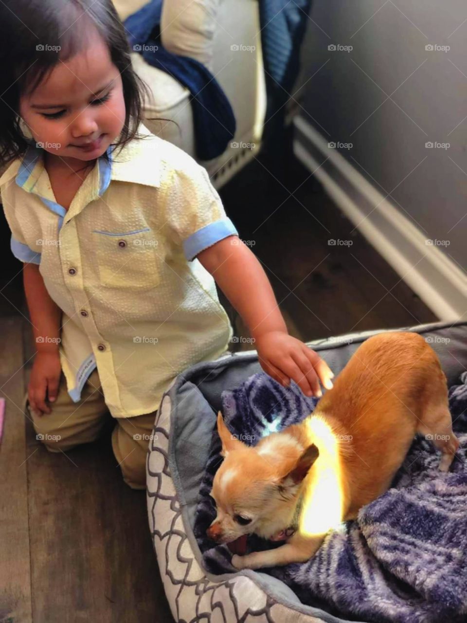 my little animal lover /Living in Harmony