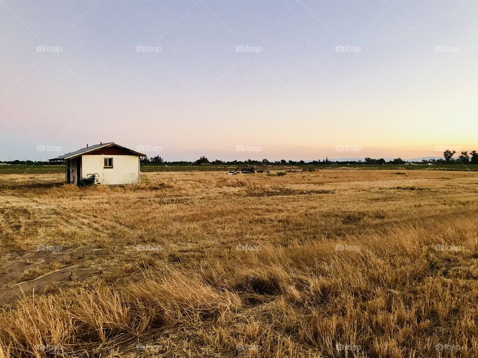 The golden light of sunset and the freshness of the nights approaches with my heart rejoices.