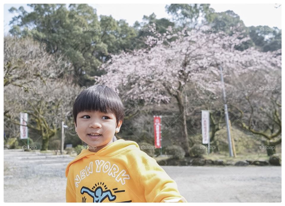 Japanese boy in Sakura park 