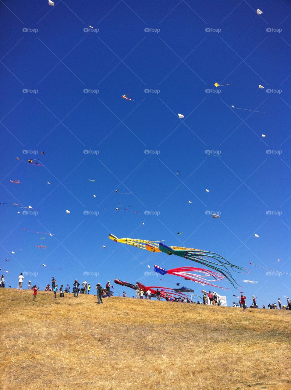 Kite Festival. Kit Festival at UC Berkeley kites flown by my uncles