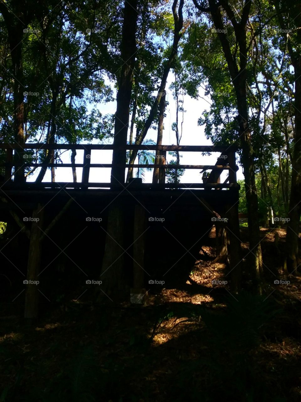 O retorno para a terra perto do mar.