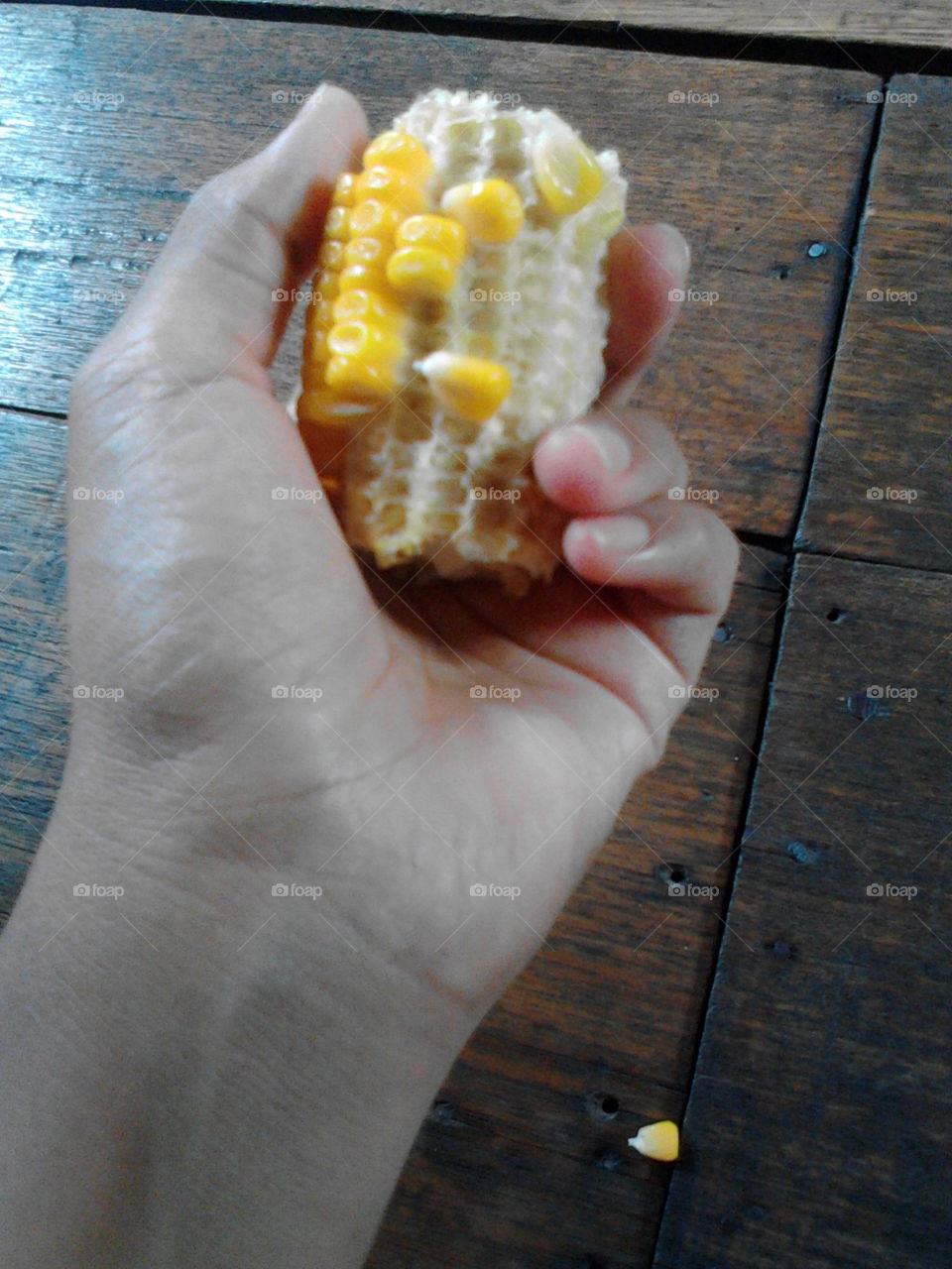 my corn in my hand