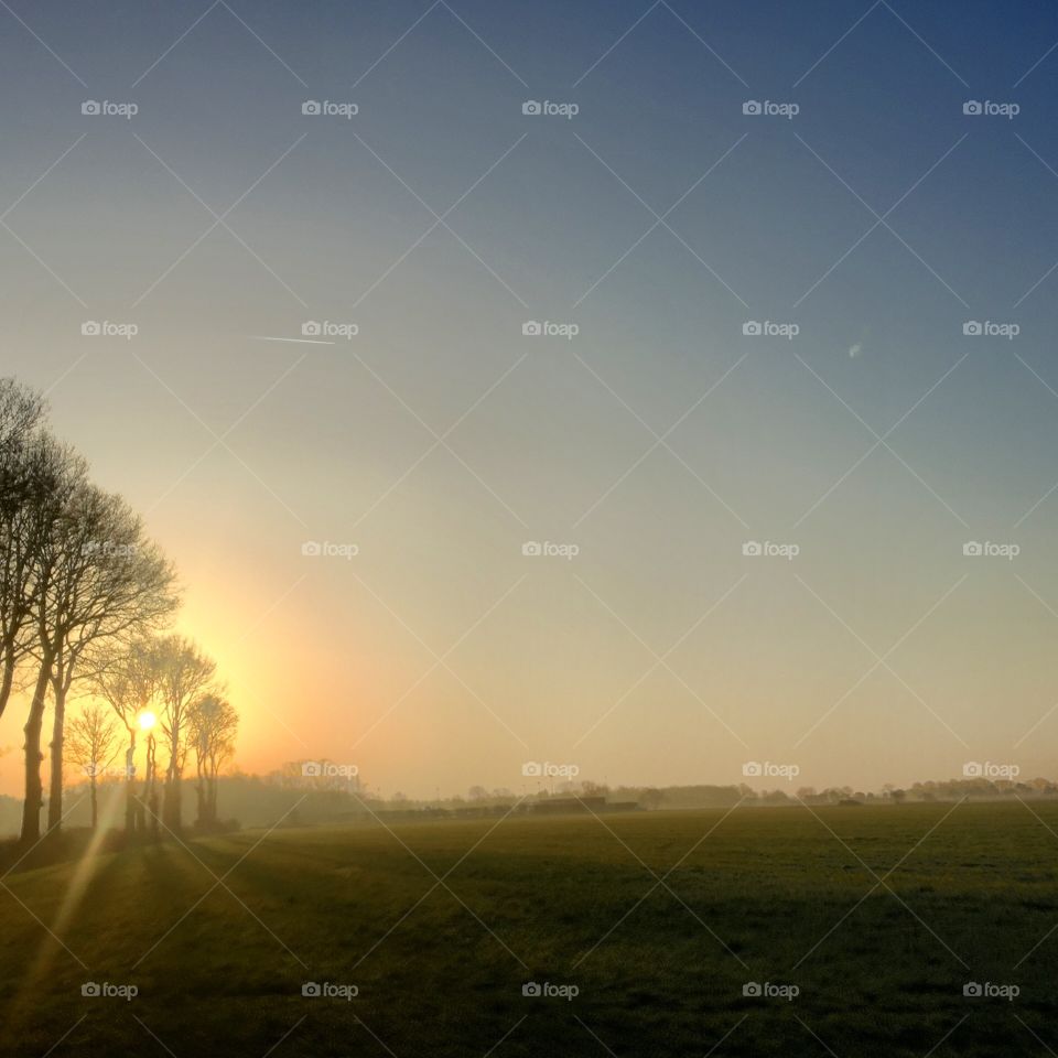 Sunrise and trees