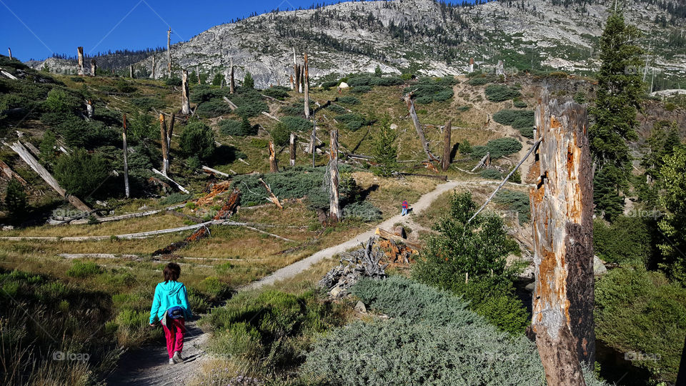 hiking during summer at this beautiful forest mountain