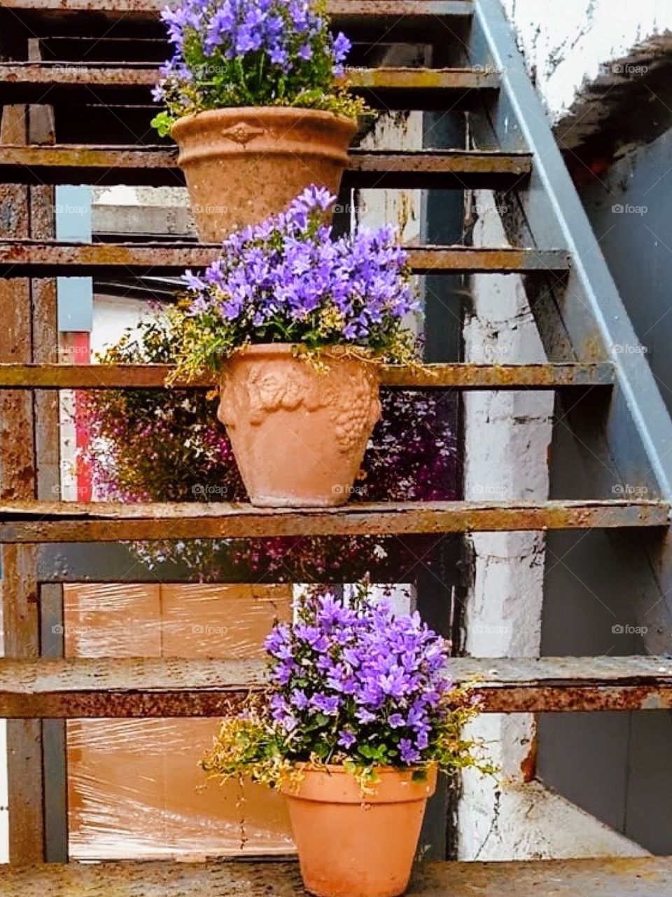 Flower pots on the stairs