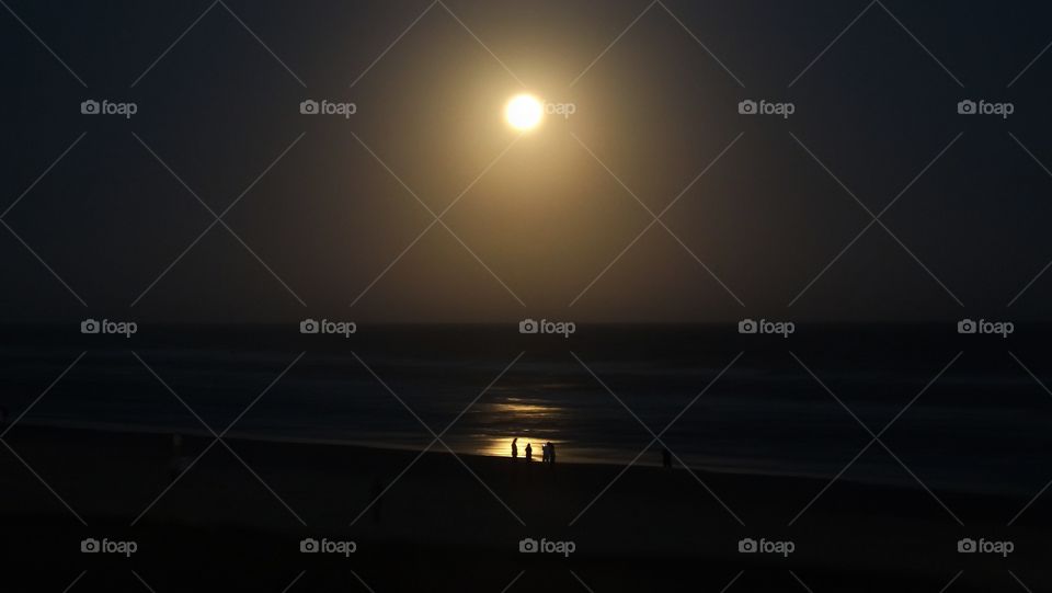 Moonlight on the beach