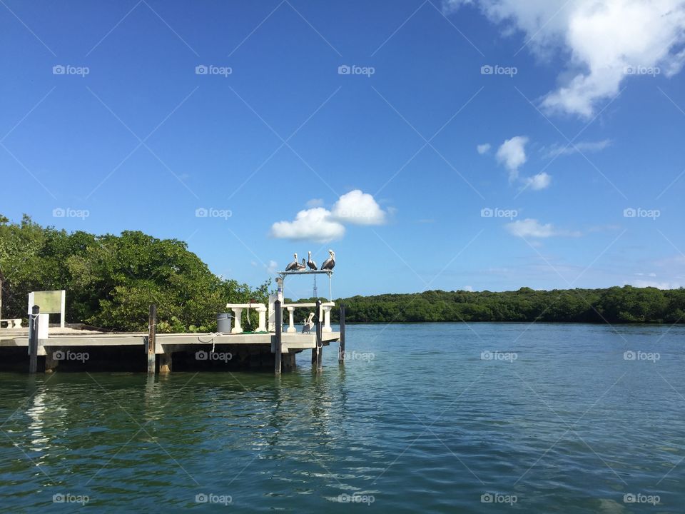 Tavernier Creek waterways 