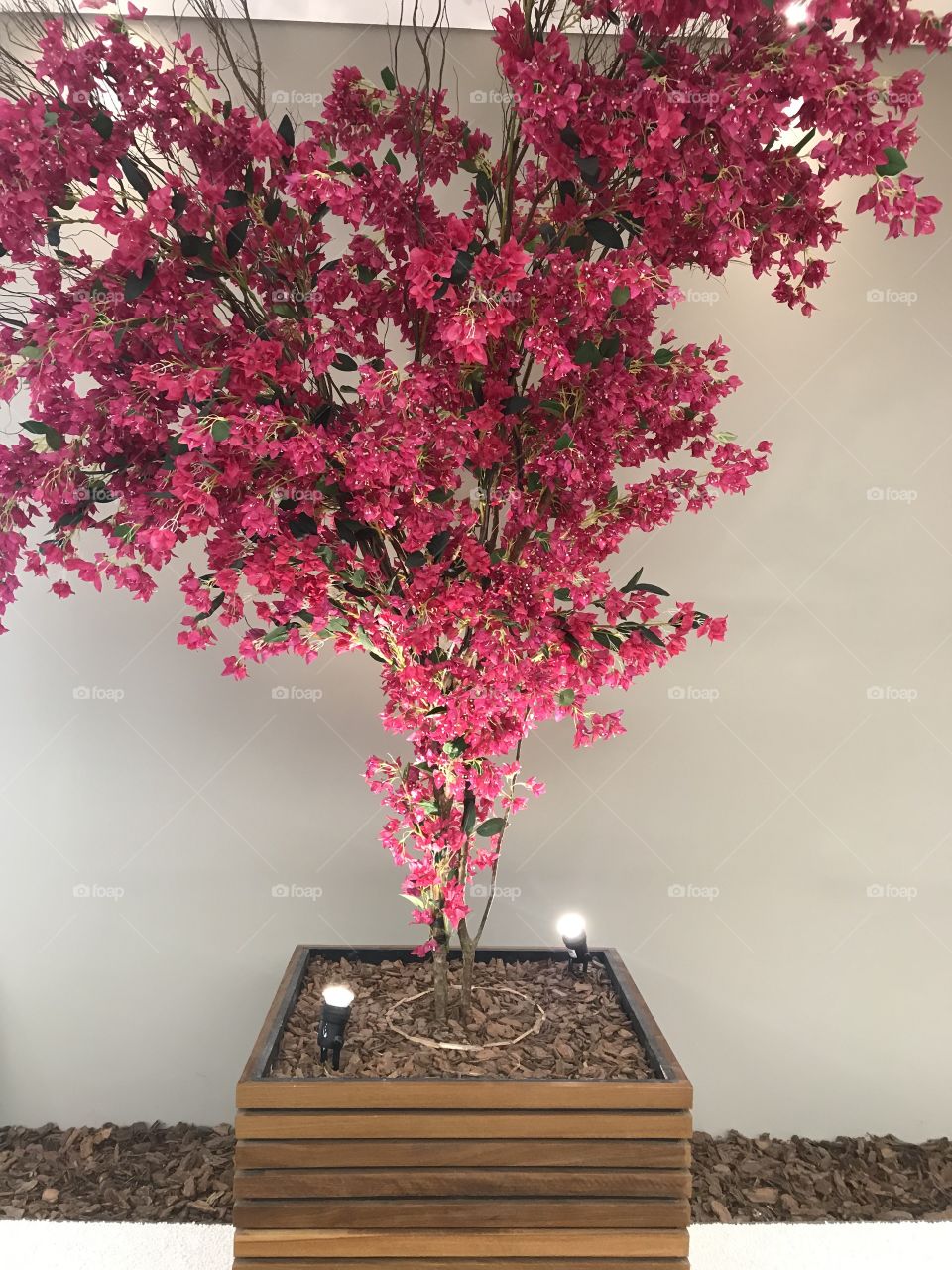 Lightning plant inside shopping mall