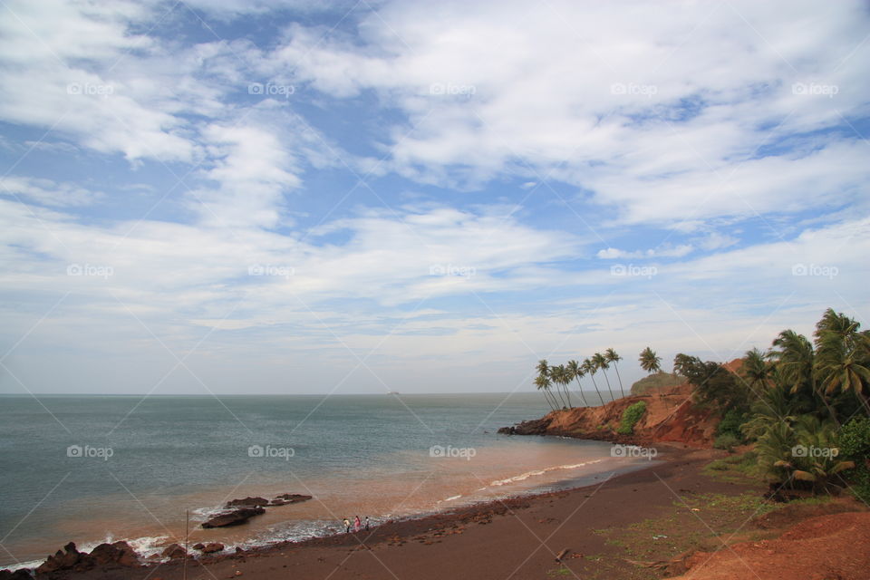 a seashore with blue sky and coconut tres on shore