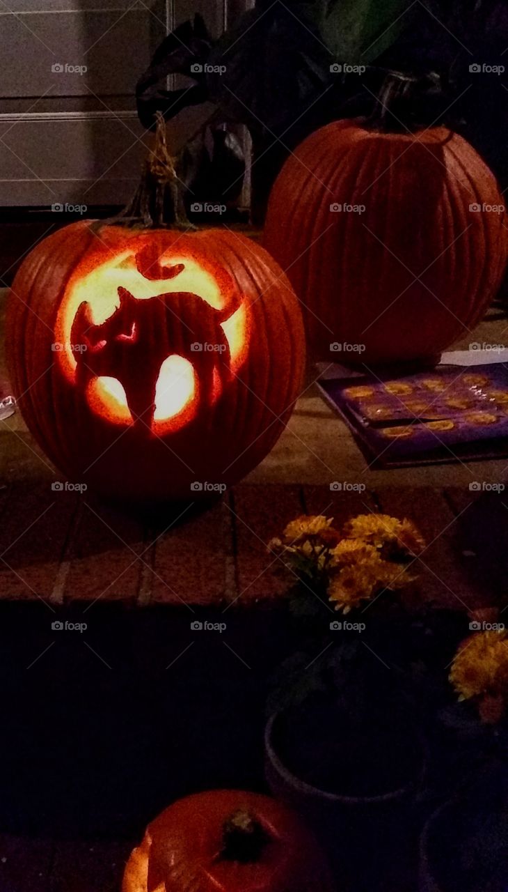 Black cats in the path