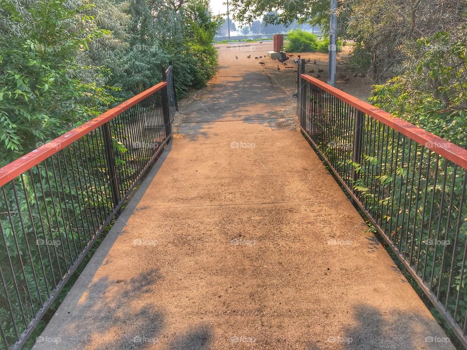 Summer time bridge crossing! 