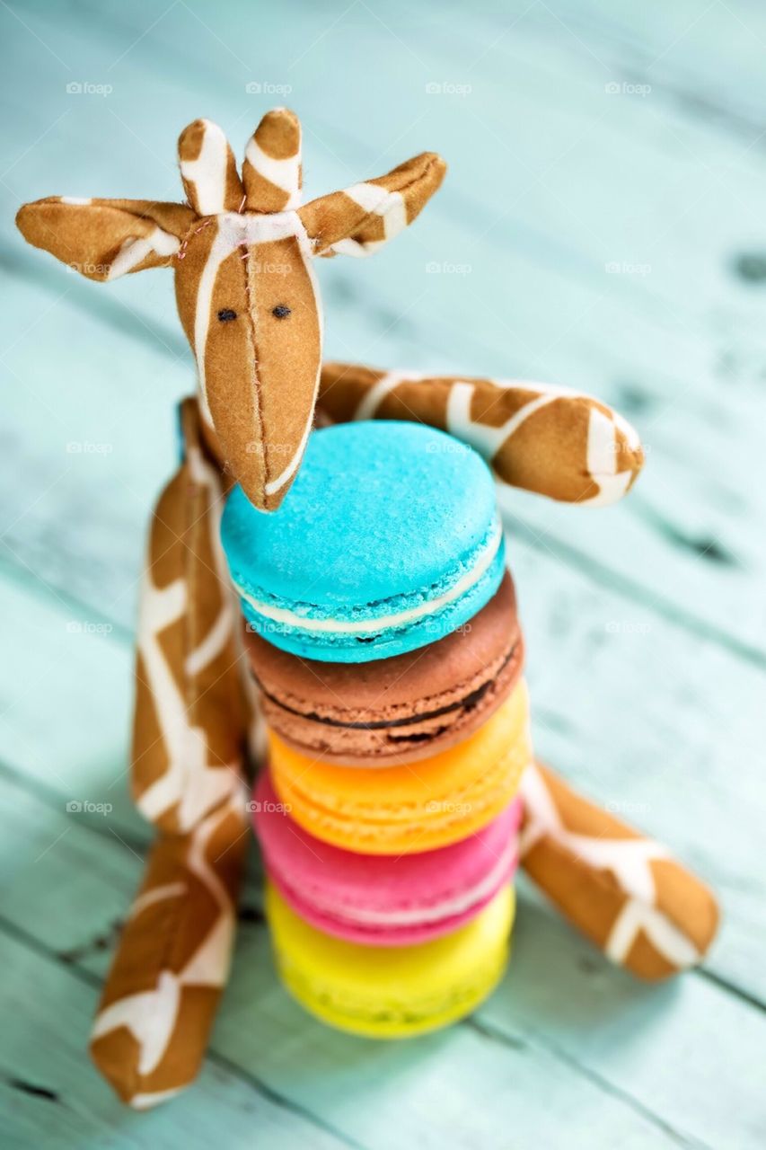 Close-up of multi colored macaroons