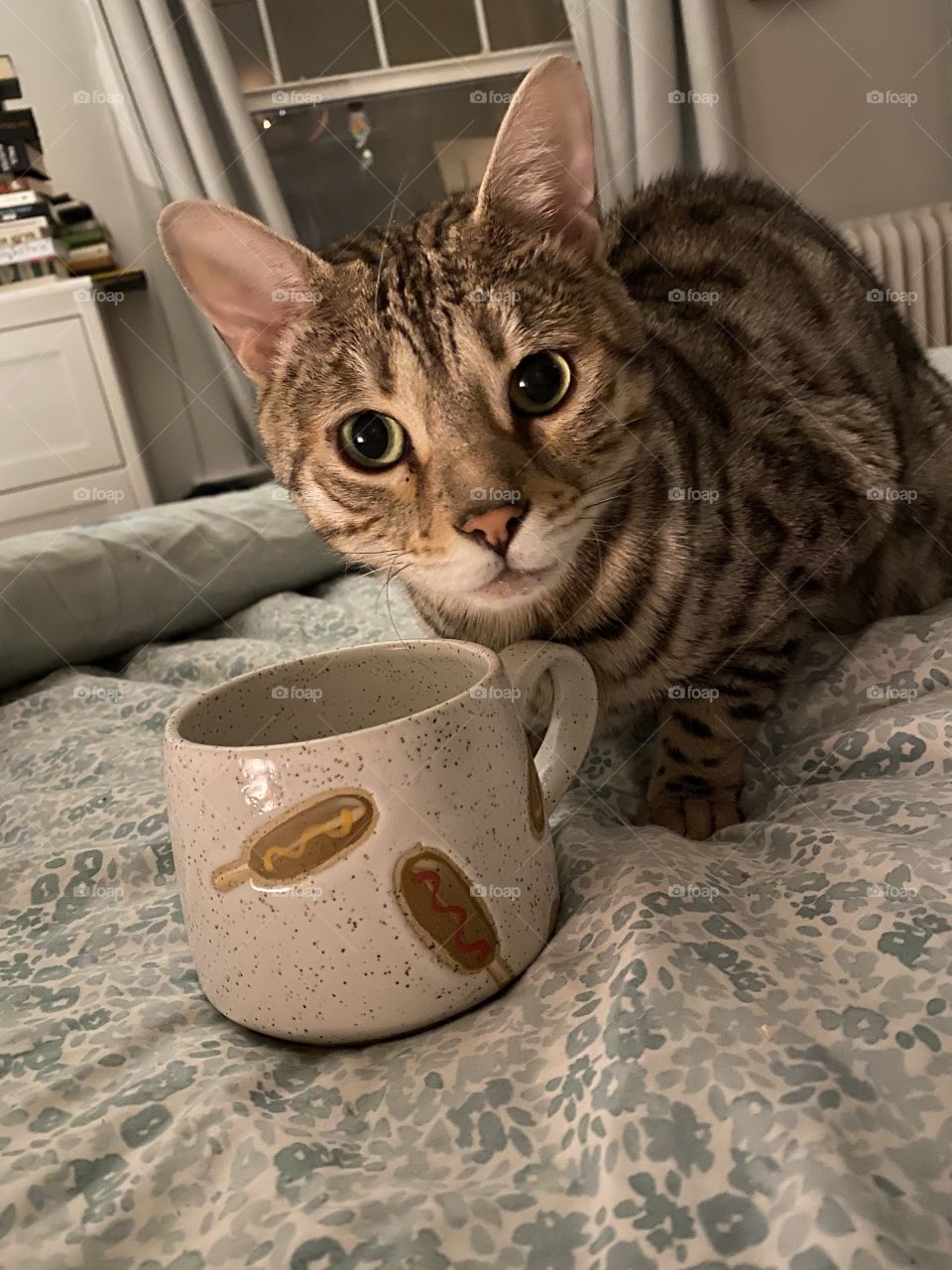 F Scott Fitzgerald enjoys his morning coffee