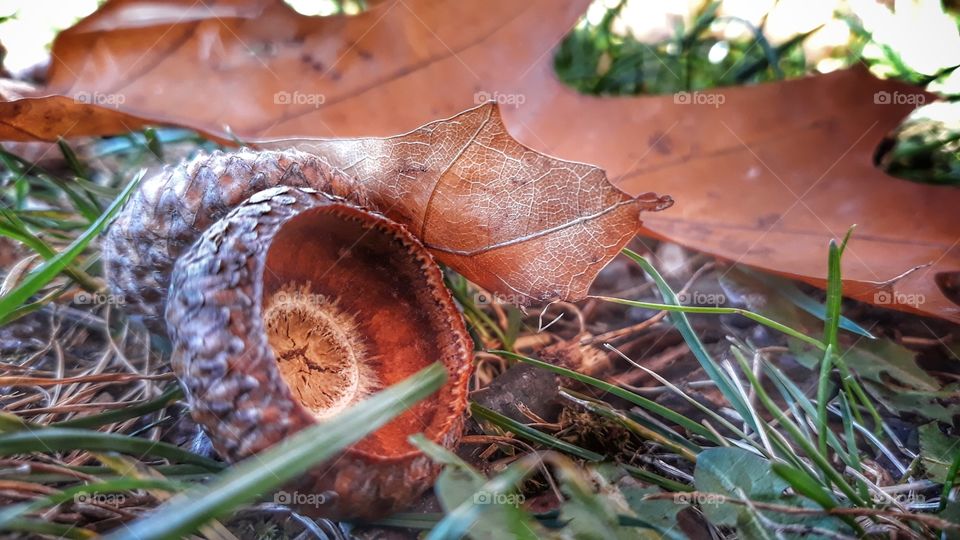 #Autumn #fall #landscape