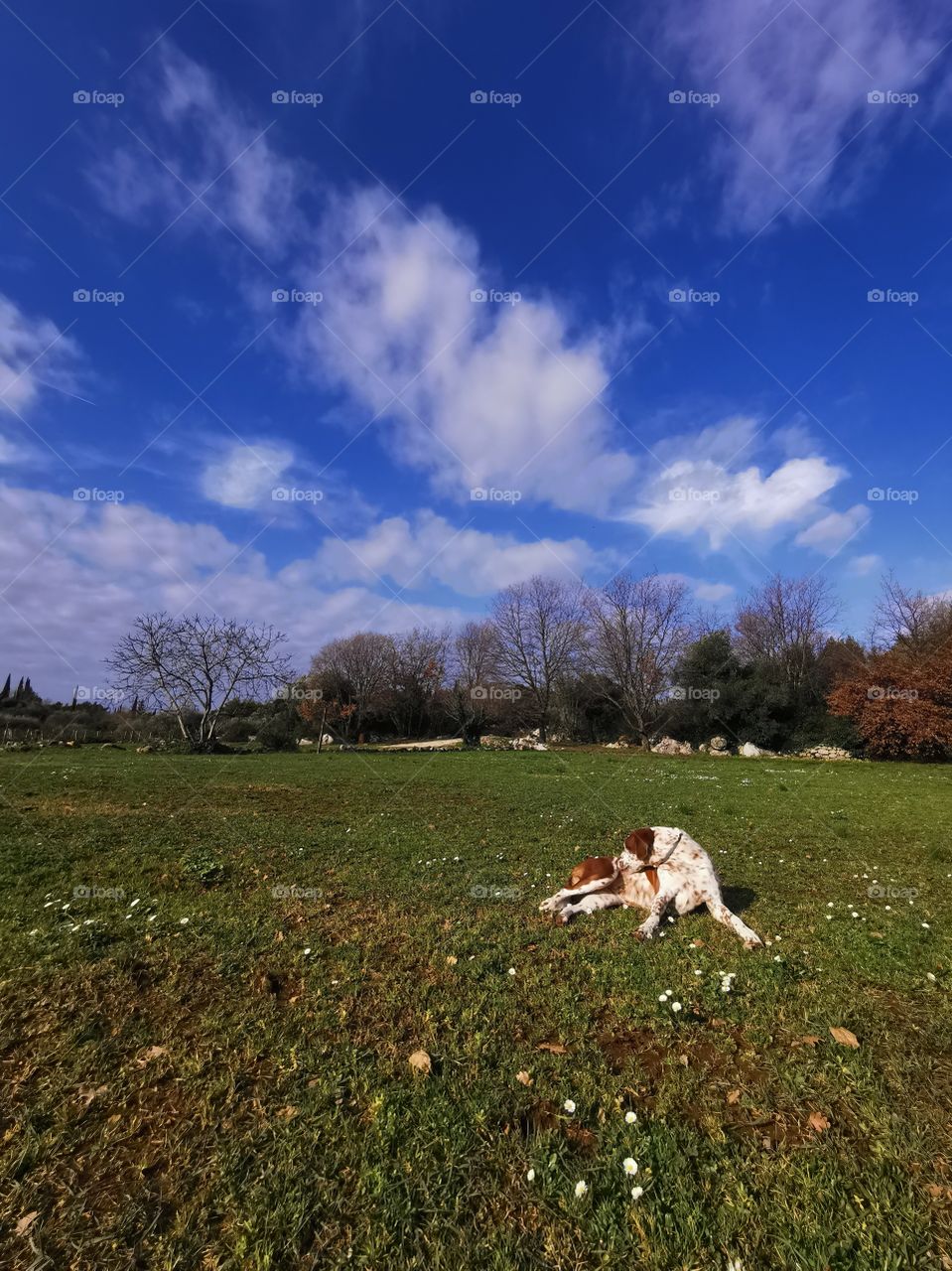 Nature is everything