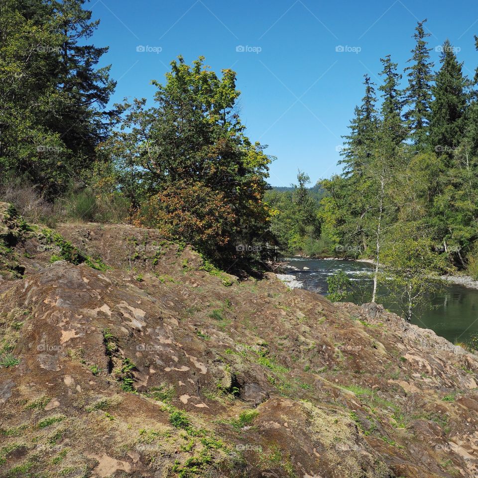 The rocky and rugged shores of the Middle Fork of the Willamette River near Oakridge Oregon filled with trees transitioning to their fall colors on a beautiful sunny day.