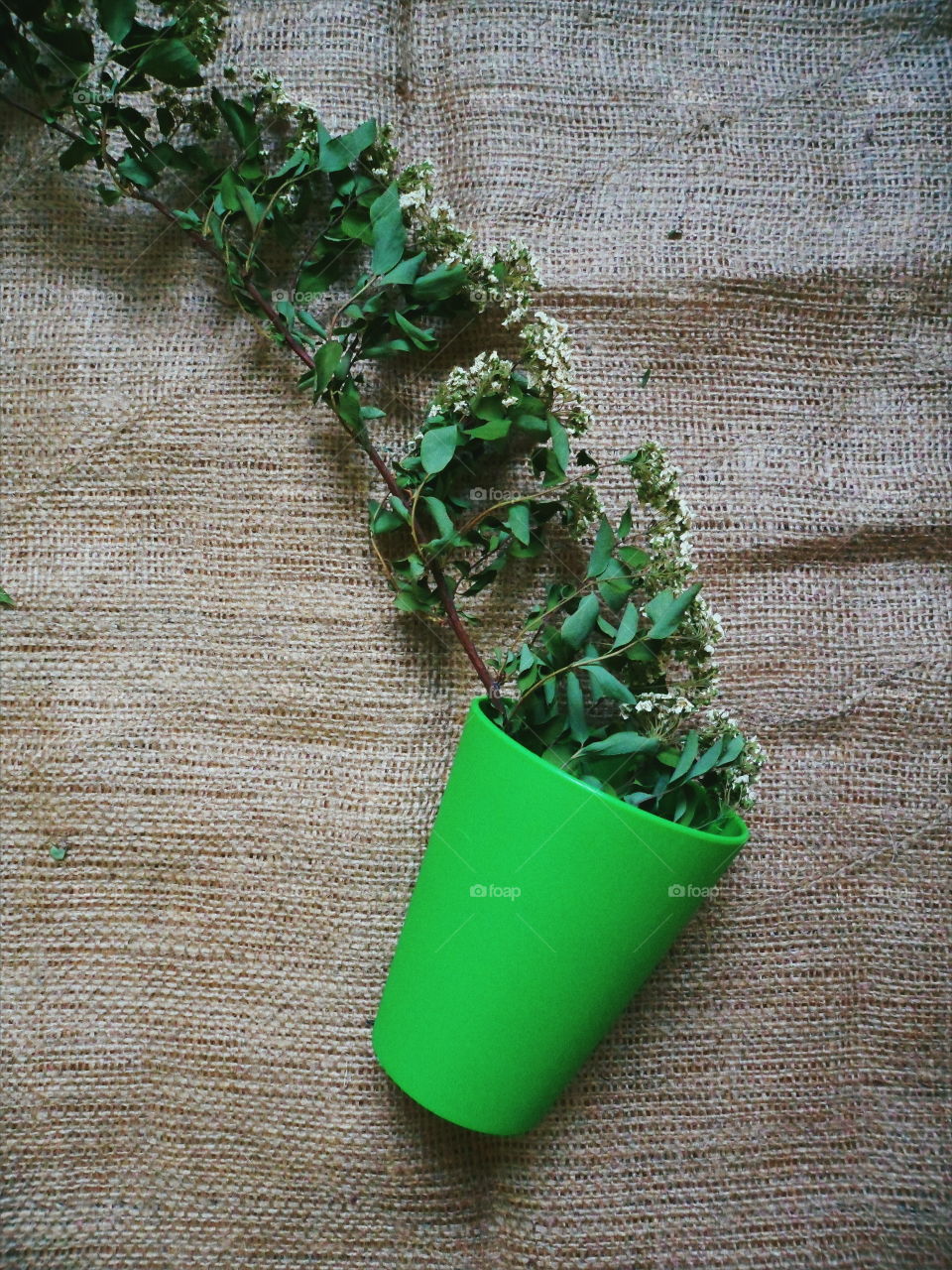 Green glass and a dry branch of flowers