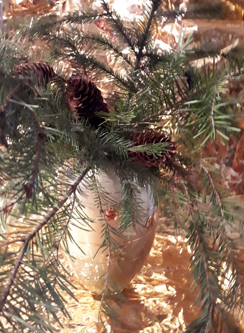 Christmas bouquet of fir branches
