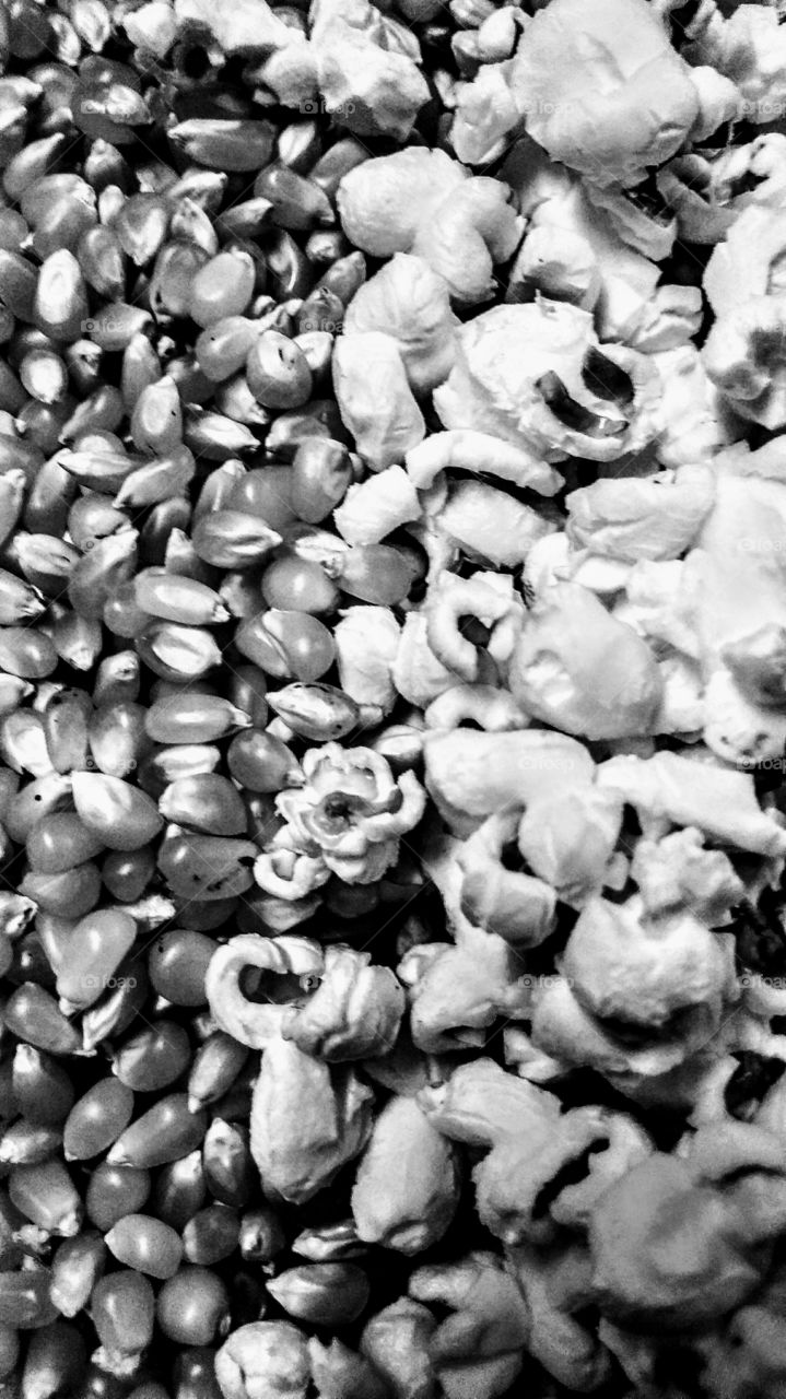Black kernels popcorn