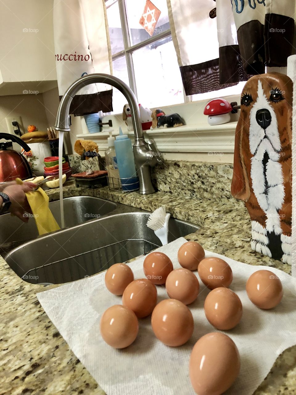 From the backyard flock: Eggs harvested from The Ladies, my eldest daughter’s four Rhode Island Red hens, being washed and readied for a variety of home uses.