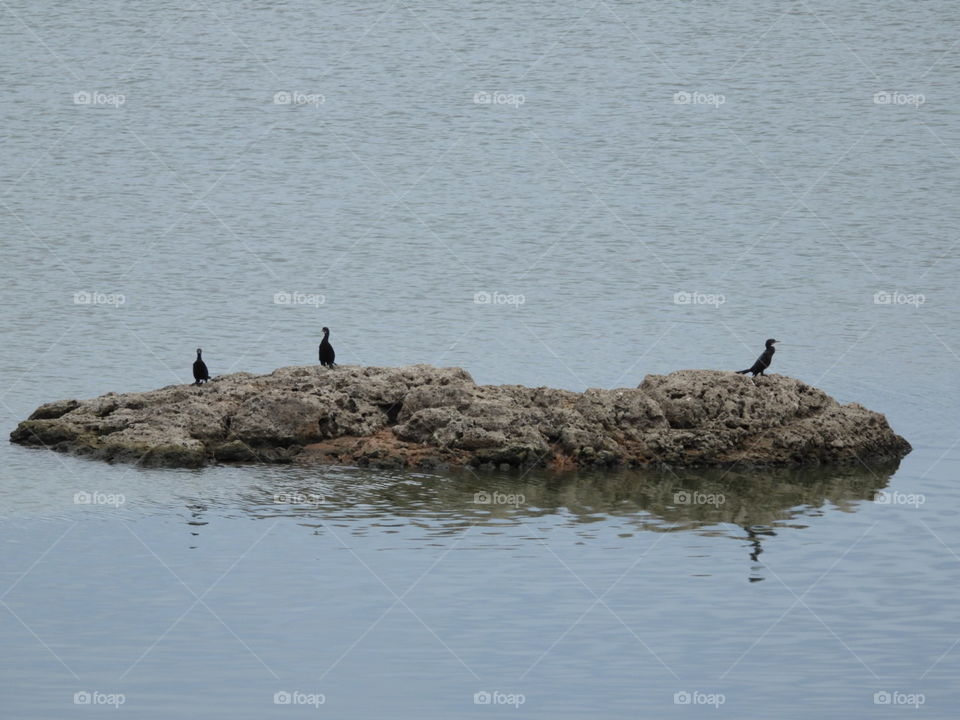 Three Is The Magic Number 