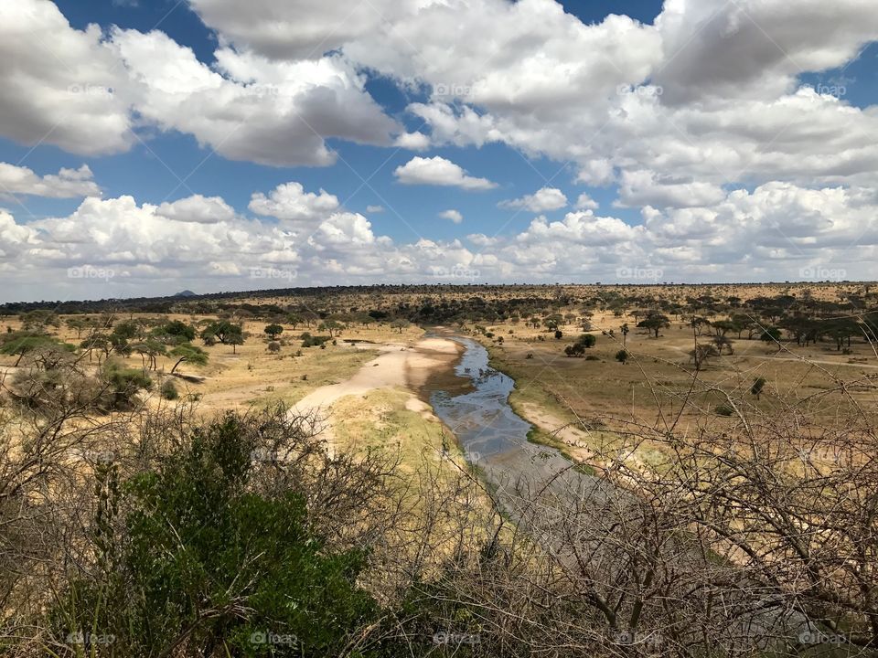 Tarangire safari park, Tanzania