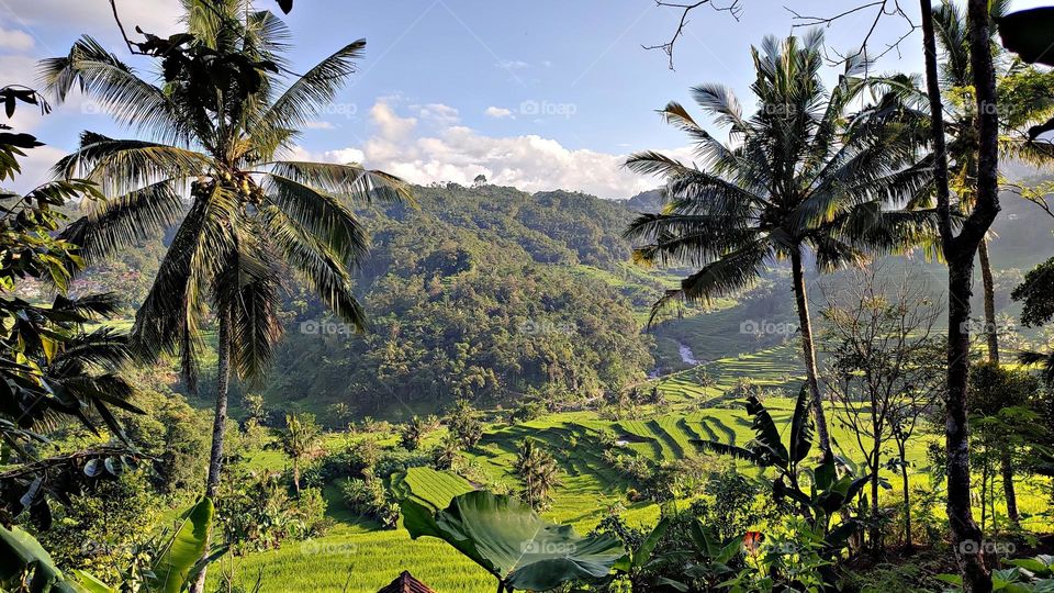 afternoon in the countryside