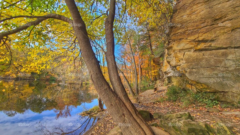 Tree between river and cliff