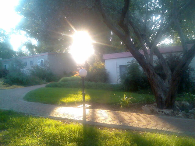 Morning In The Village
