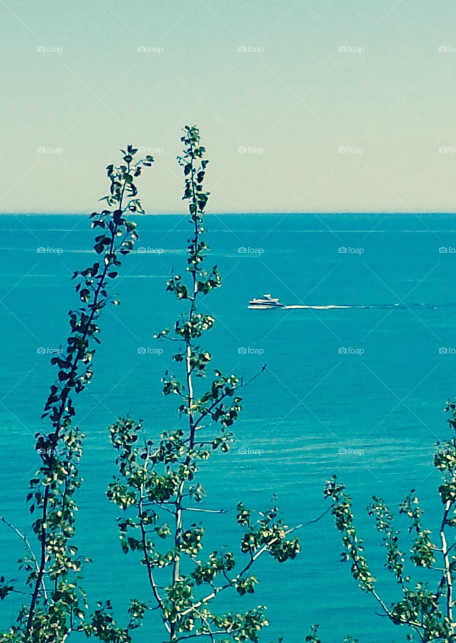 Nature. Boat on the Water