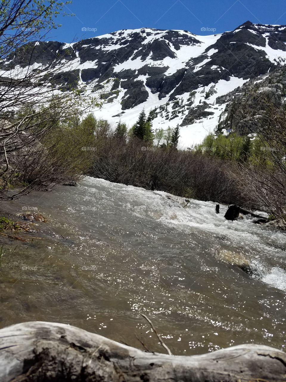 mountain and stream