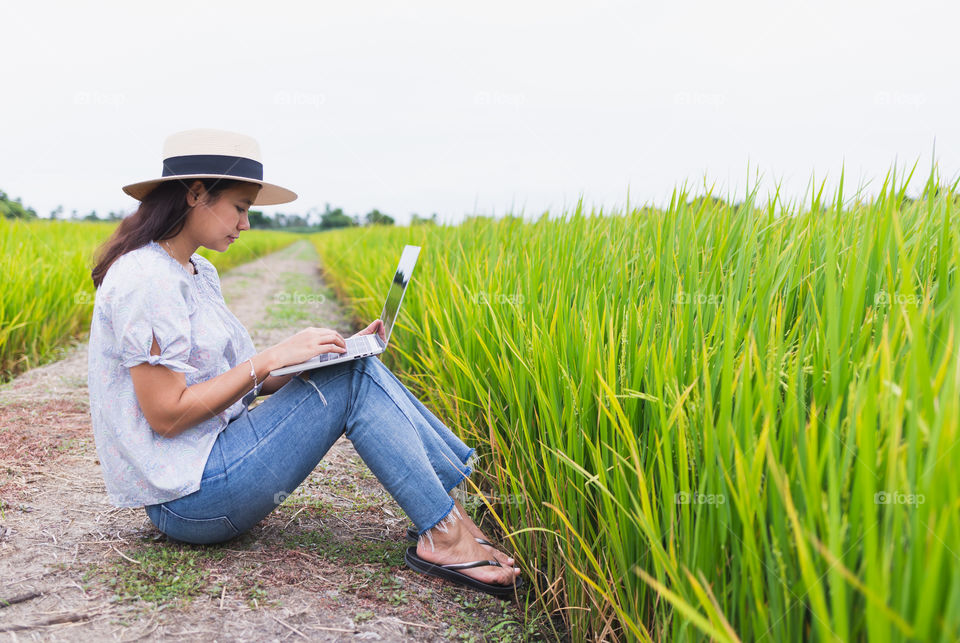 Side view beautiful asian woman sitting in the rice field and are working use a laptop