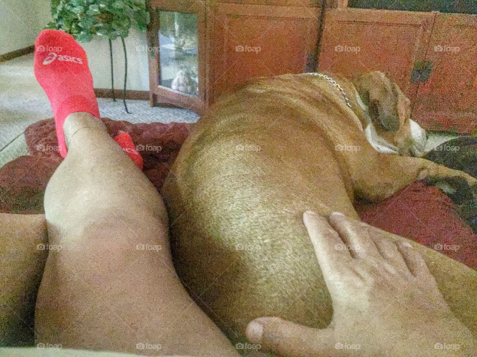 Relaxing with my dog