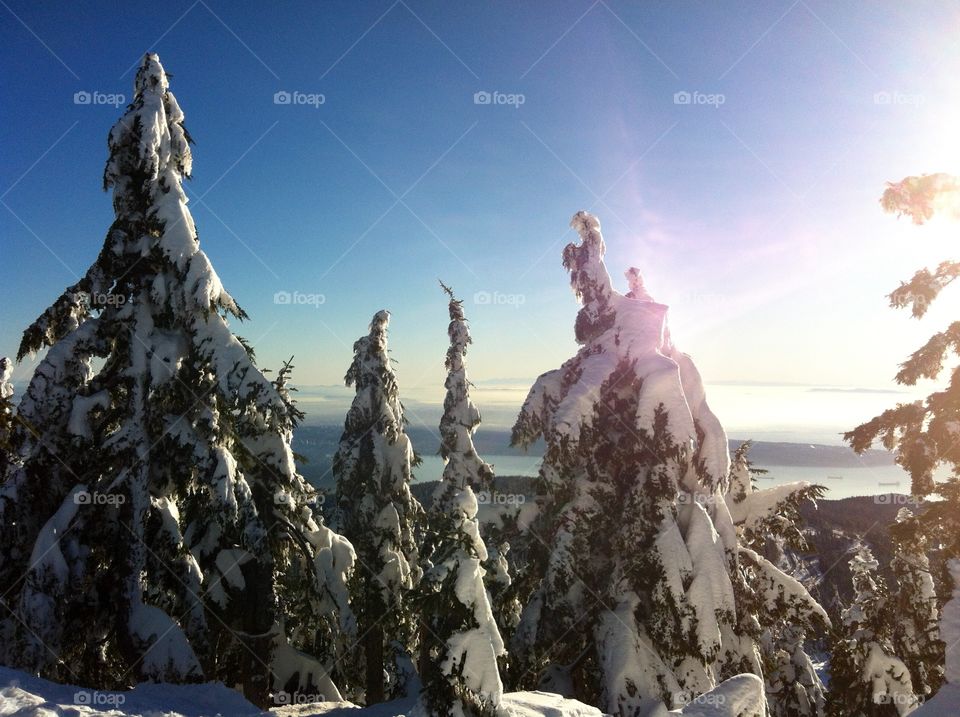 A New Year's Day snowshoe to the top of Hollyburn Mountain. Amazing views, glorious sunshine, blue sky and massive amounts of fresh snow greeted us that day. What a way to start a new year!