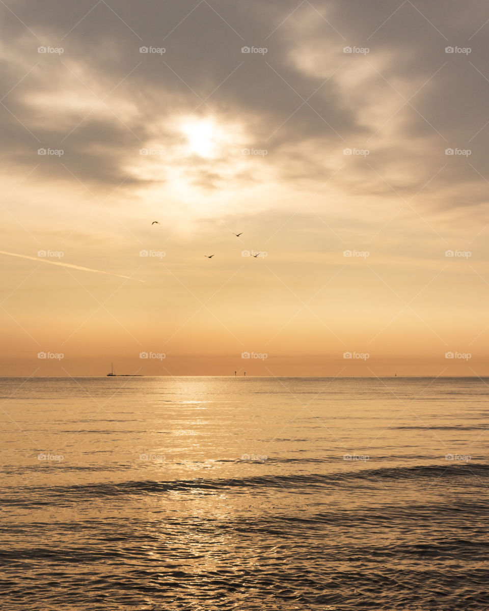 Summer Gdansk
 🔅 💛 😻 2172019