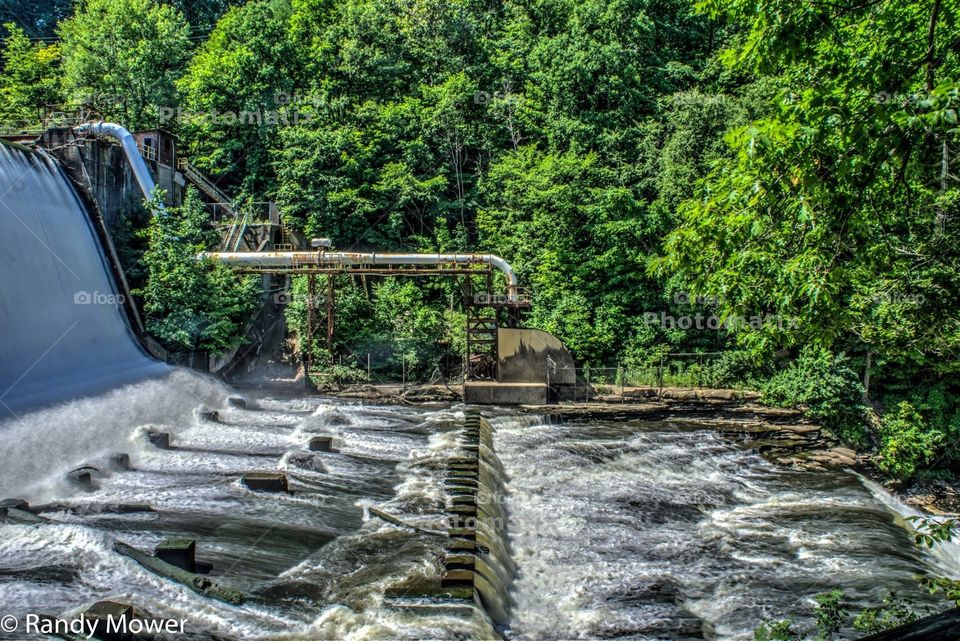 Wood, Nature, Water, Tree, Leaf