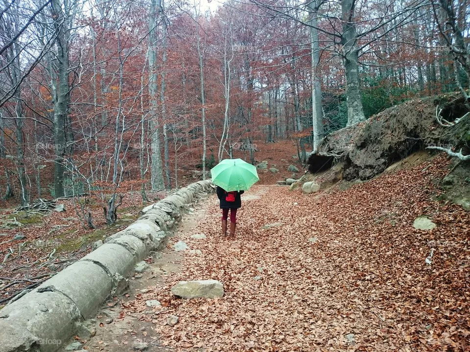 Autumn 