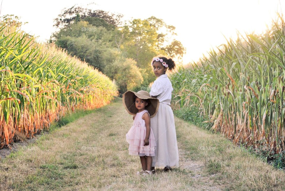 Two little sisters walking corn fields in summer sun