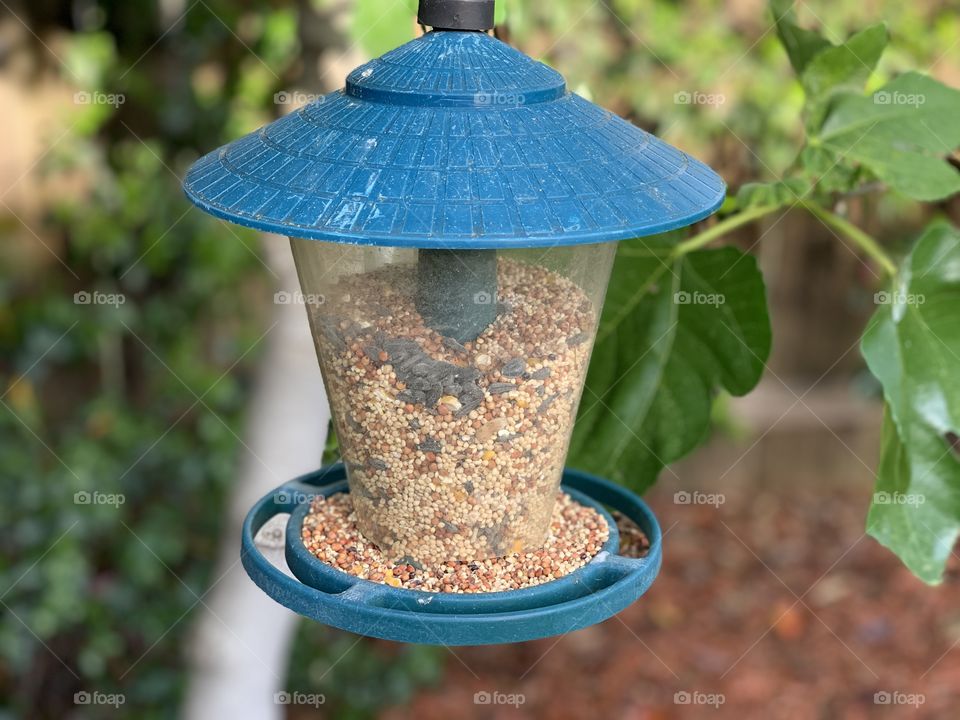 Bird feeder 