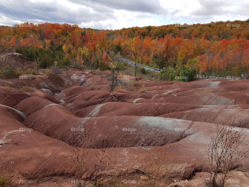 Cheltenham badlands in autumn