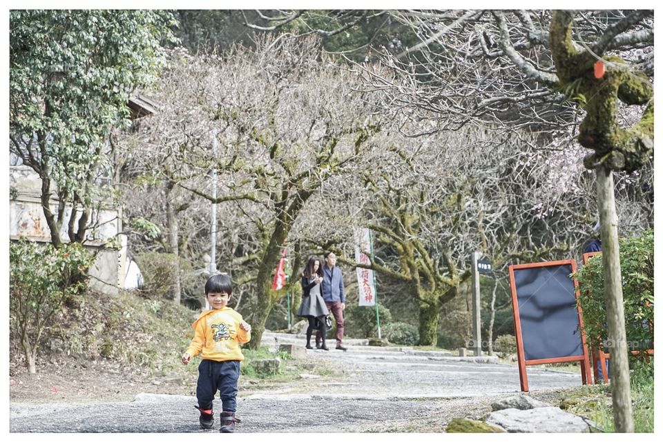 Tree, People, Outdoors, Park, Man